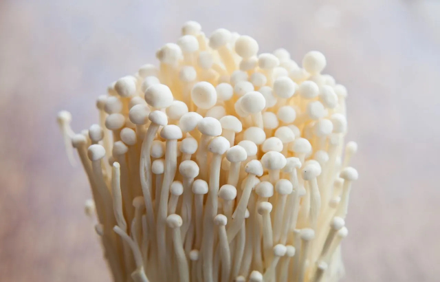 Beautiful Fresh Enoki Mushrooms